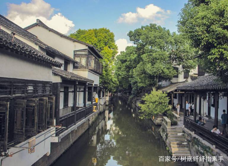 寻找萌小老虎